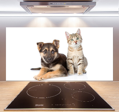 Kitchen splashback Dog and cat