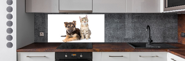 Kitchen splashback Dog and cat