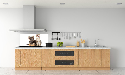 Kitchen splashback Dog and cat