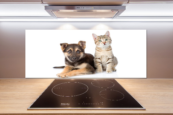 Kitchen splashback Dog and cat