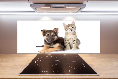 Kitchen splashback Dog and cat