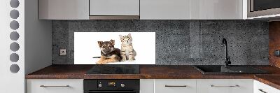 Kitchen splashback Dog and cat