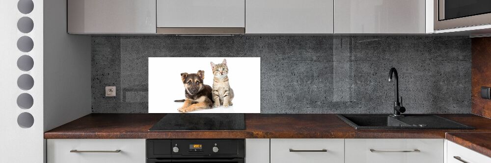 Kitchen splashback Dog and cat