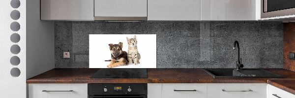 Kitchen splashback Dog and cat