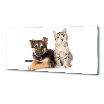 Kitchen splashback Dog and cat