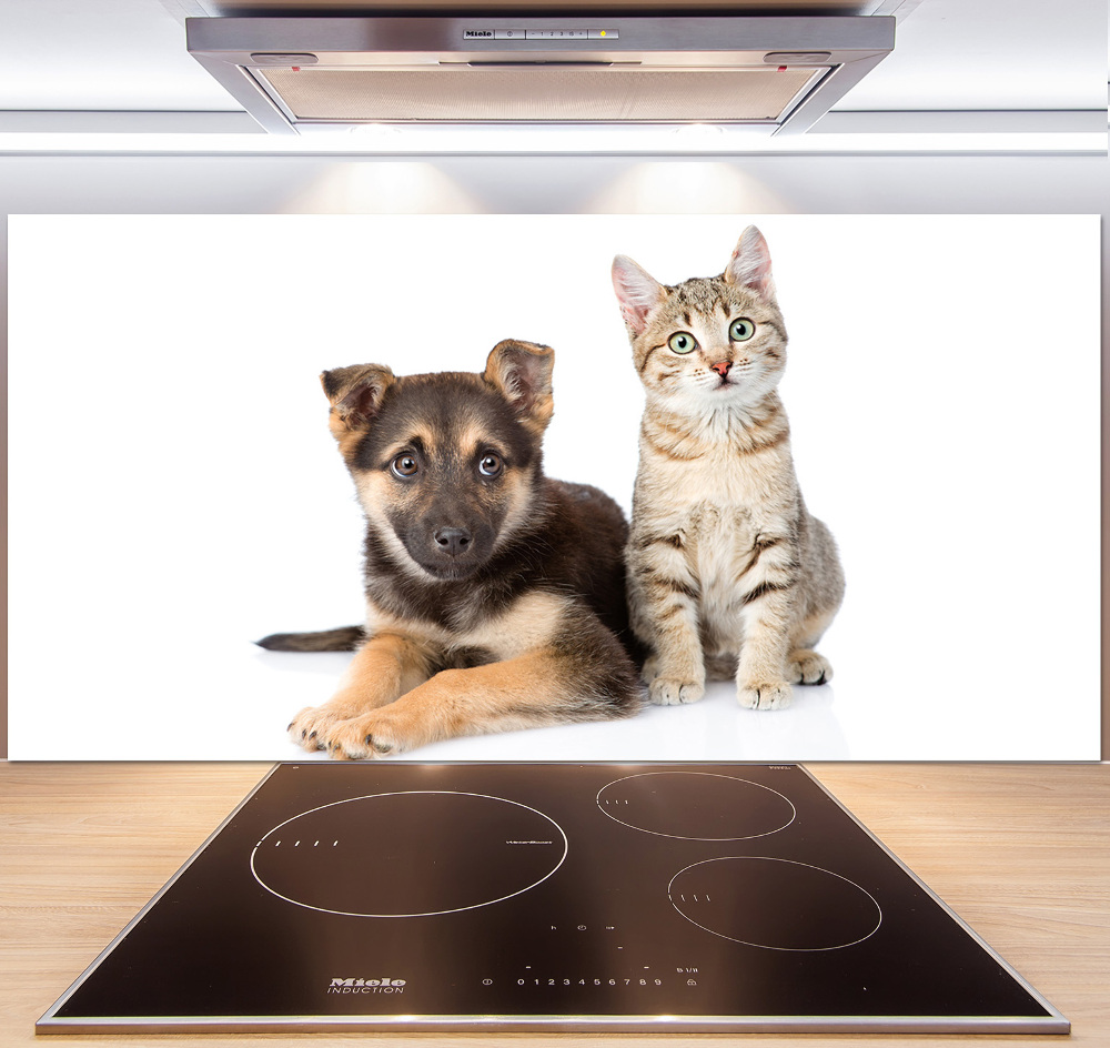 Kitchen splashback Dog and cat