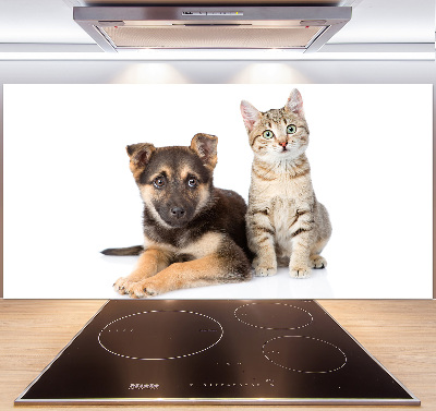 Kitchen splashback Dog and cat