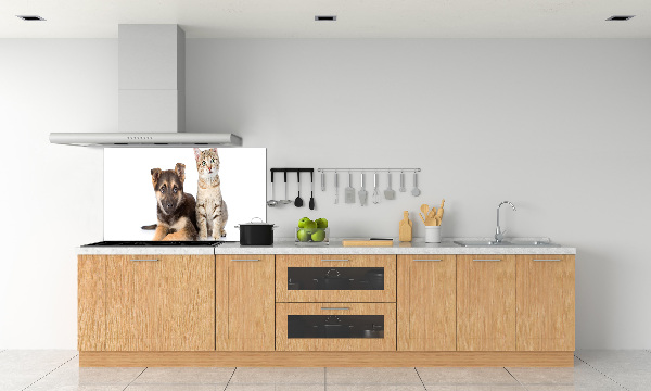 Kitchen splashback Dog and cat