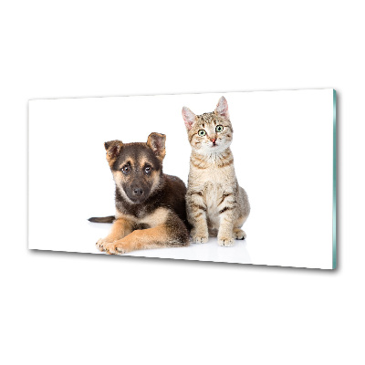 Kitchen splashback Dog and cat