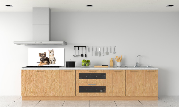 Kitchen splashback Dog and cat