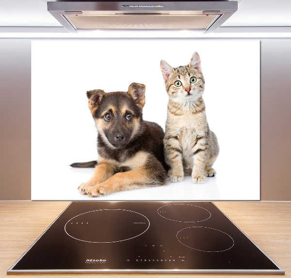 Kitchen splashback Dog and cat