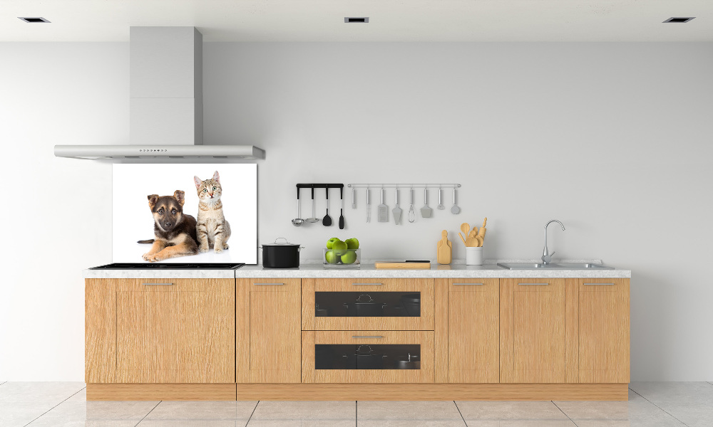 Kitchen splashback Dog and cat