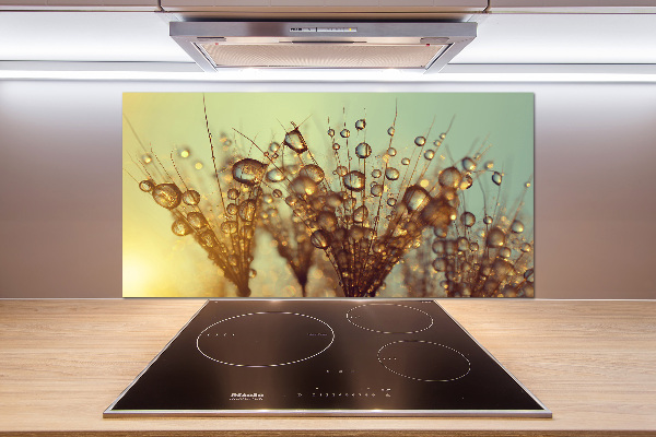 Cooker splashback Dandelion seeds