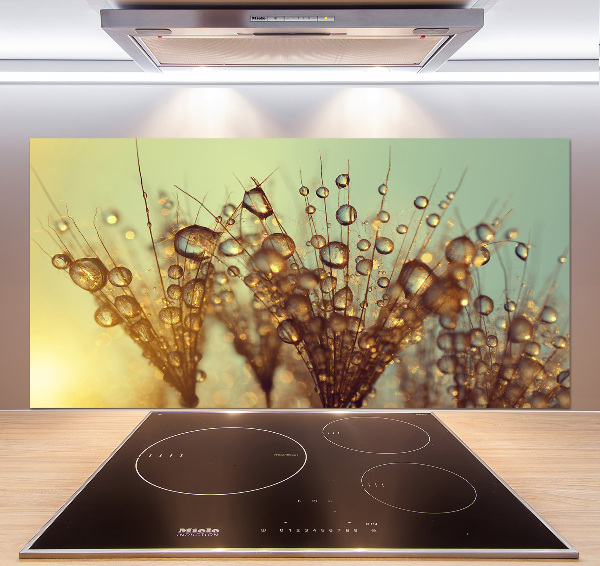 Cooker splashback Dandelion seeds