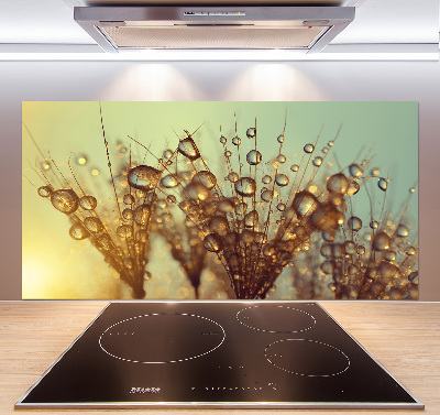 Cooker splashback Dandelion seeds