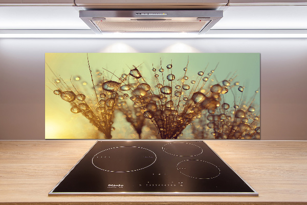 Cooker splashback Dandelion seeds