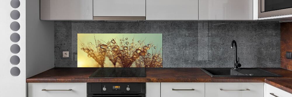 Cooker splashback Dandelion seeds