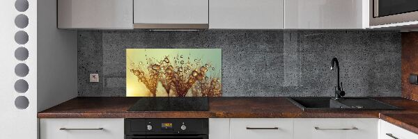 Cooker splashback Dandelion seeds