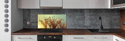 Cooker splashback Dandelion seeds