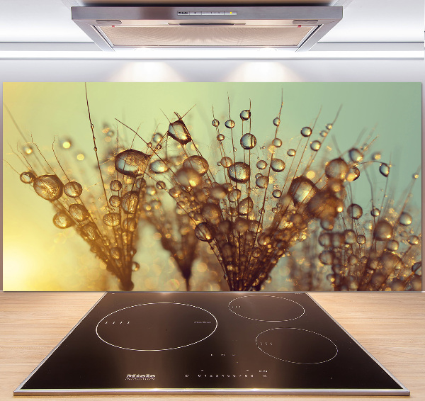 Cooker splashback Dandelion seeds