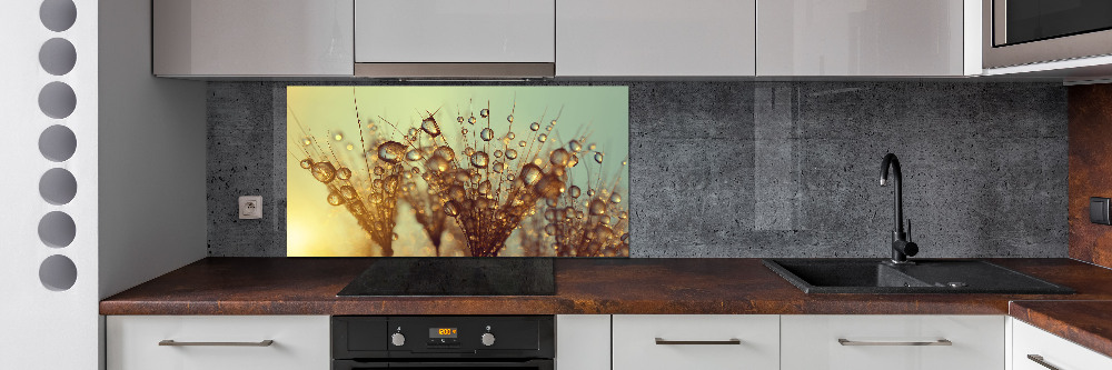 Cooker splashback Dandelion seeds