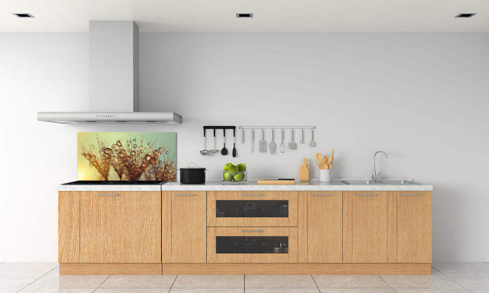 Cooker splashback Dandelion seeds