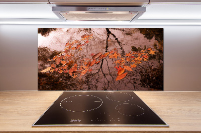 Cooker splashback Leaves on the water