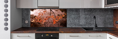 Cooker splashback Leaves on the water