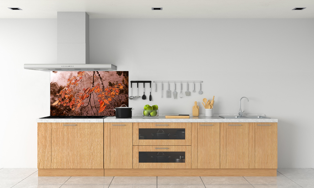 Cooker splashback Leaves on the water