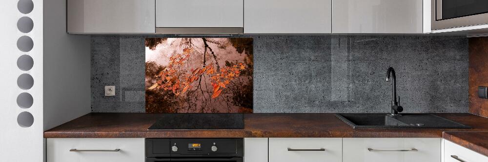 Cooker splashback Leaves on the water