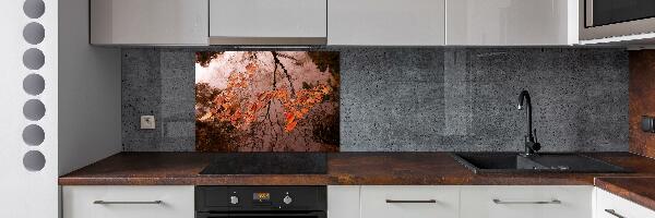 Cooker splashback Leaves on the water