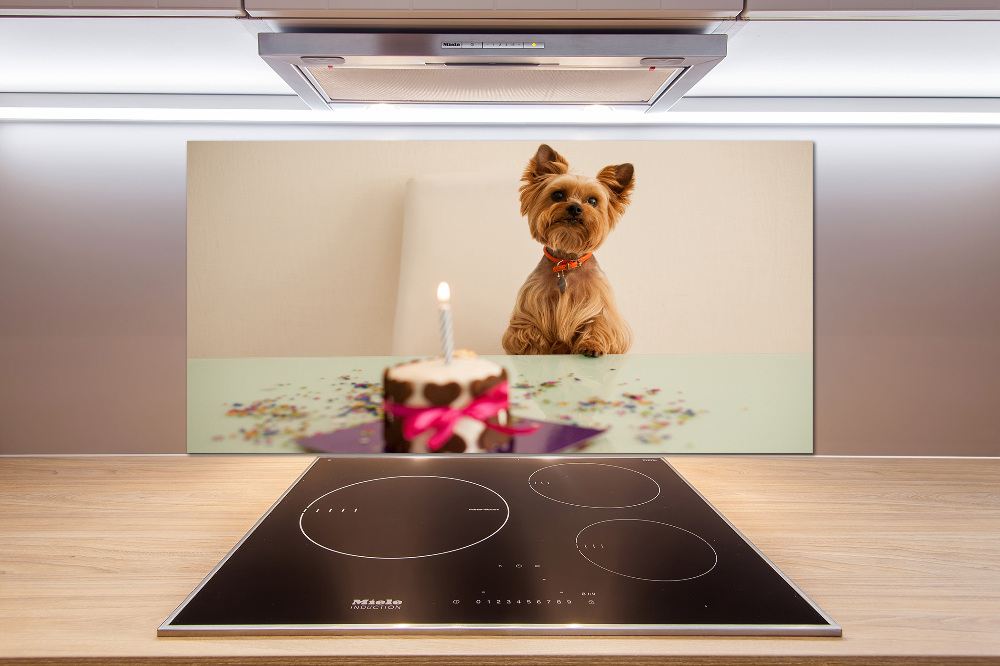 Kitchen wall panels Dog with a cake