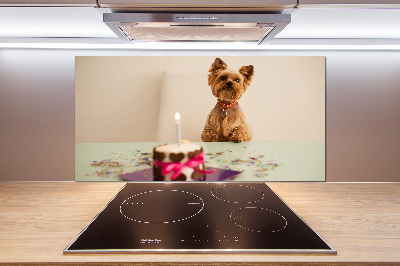 Kitchen wall panels Dog with a cake