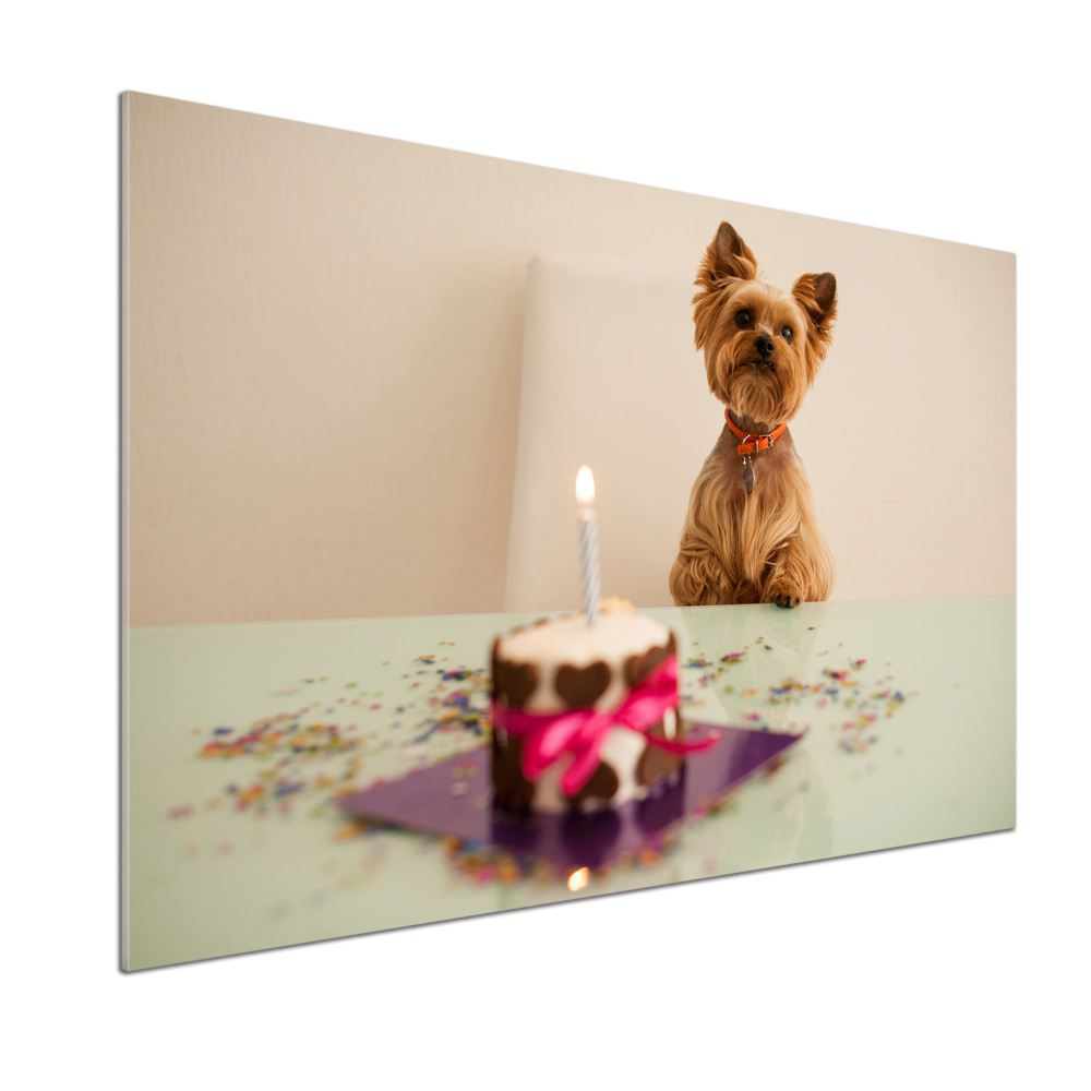 Kitchen wall panels Dog with a cake