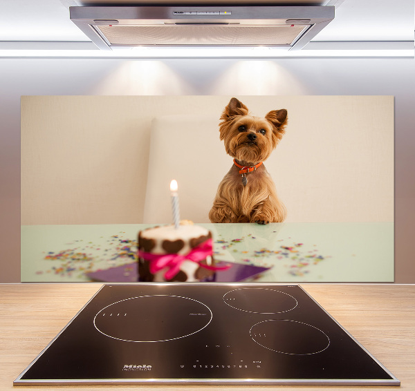 Kitchen wall panels Dog with a cake