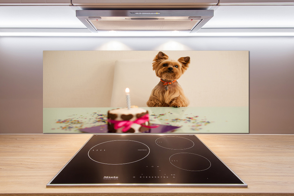 Kitchen wall panels Dog with a cake