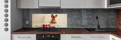 Kitchen wall panels Dog with a cake