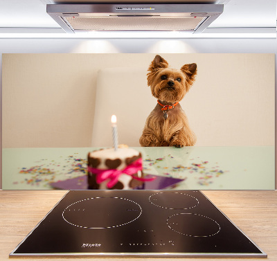 Kitchen wall panels Dog with a cake