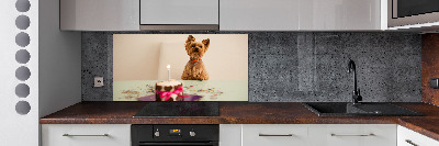 Kitchen wall panels Dog with a cake