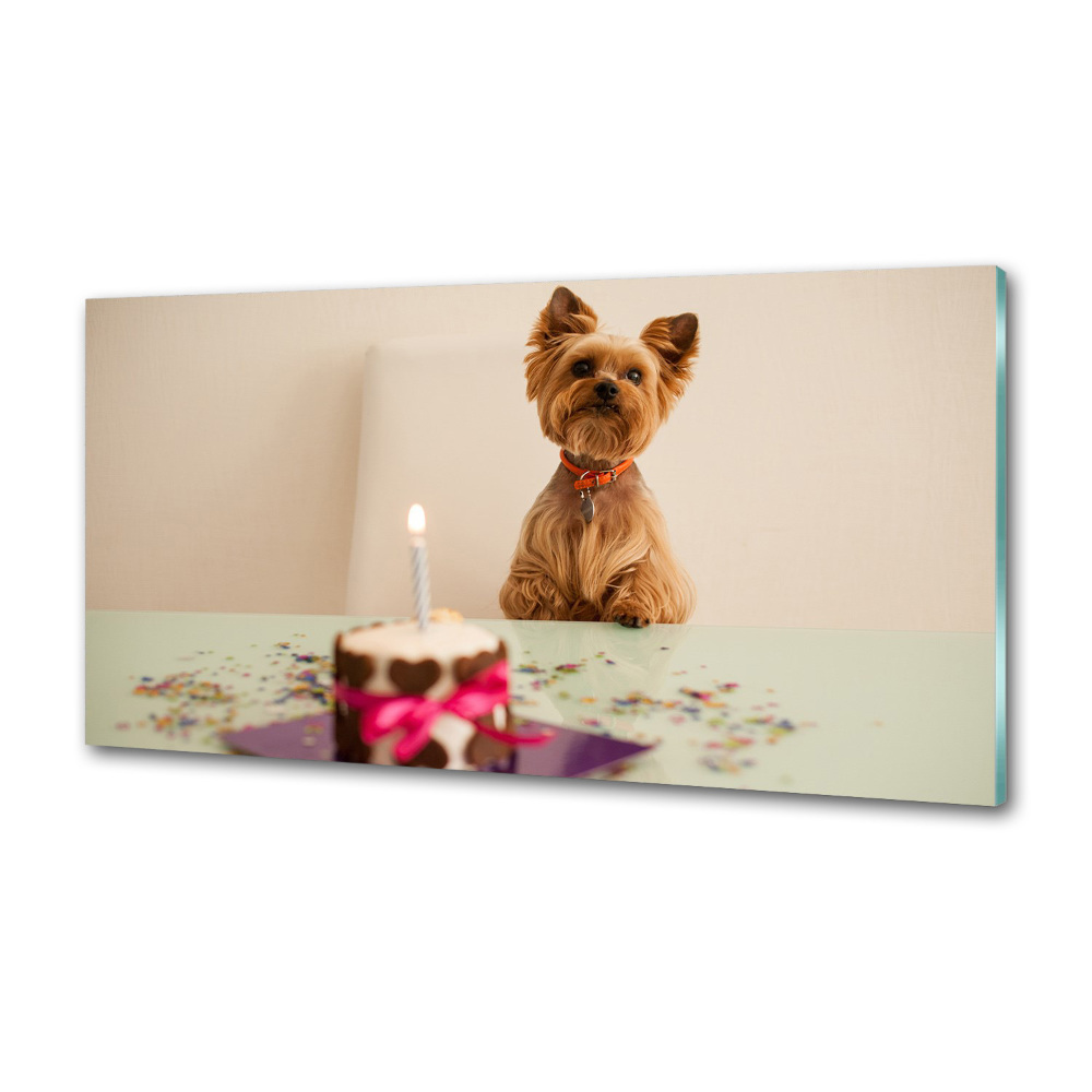 Kitchen wall panels Dog with a cake