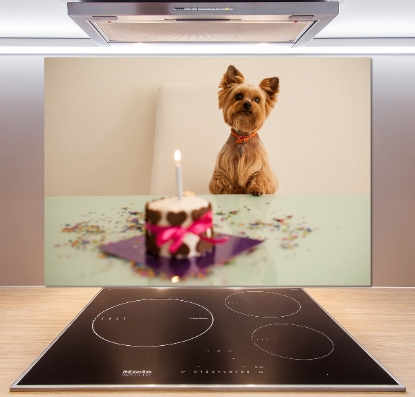 Kitchen wall panels Dog with a cake