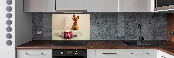 Kitchen wall panels Dog with a cake