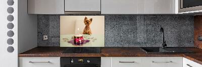 Kitchen wall panels Dog with a cake