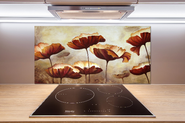 Cooker splashback Macs