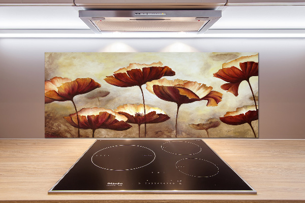 Cooker splashback Macs