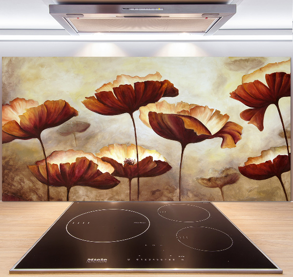 Cooker splashback Macs