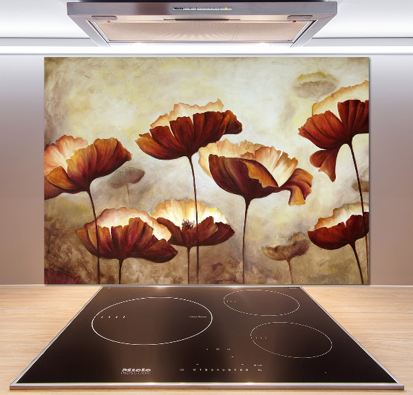 Cooker splashback Macs