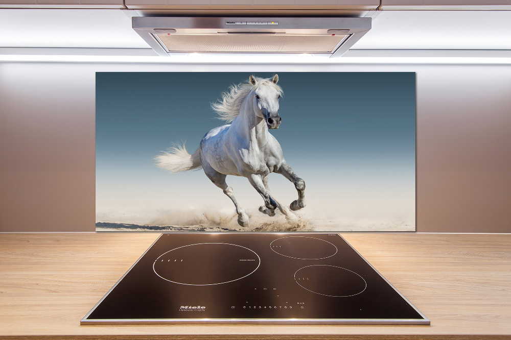 Cooker splashback White horse at a gallop