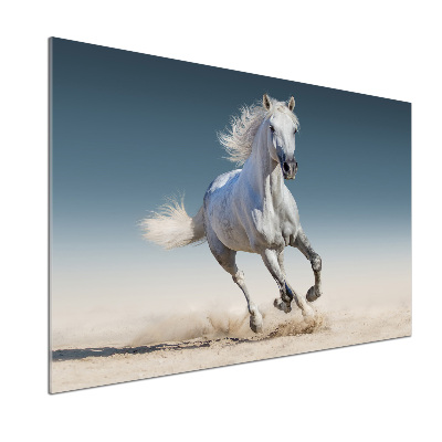 Cooker splashback White horse at a gallop