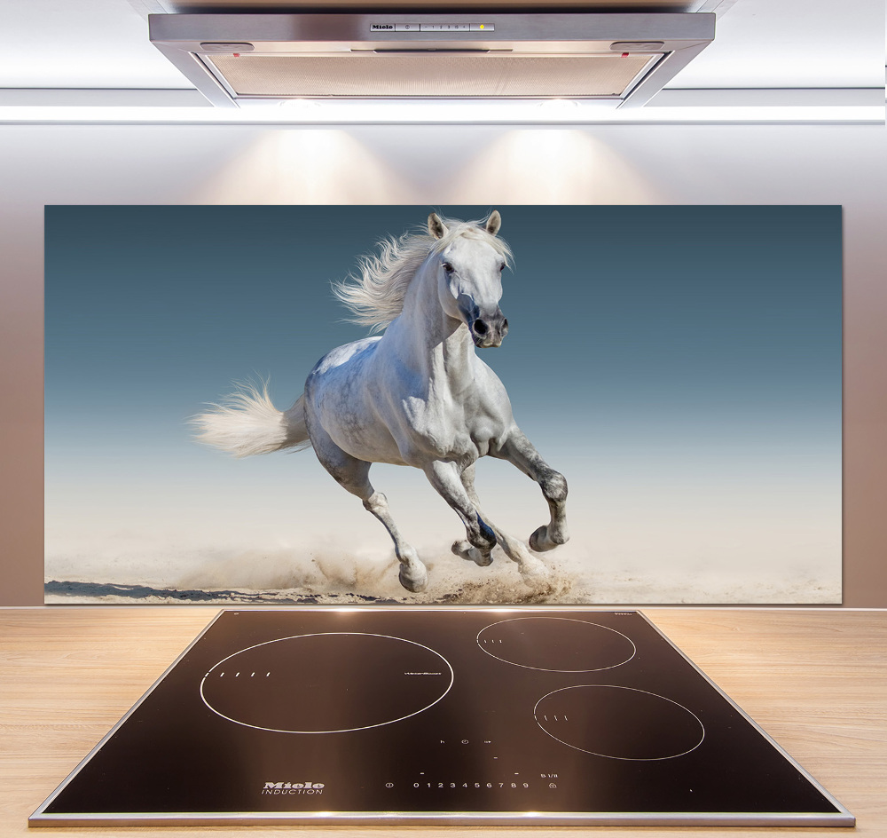 Cooker splashback White horse at a gallop